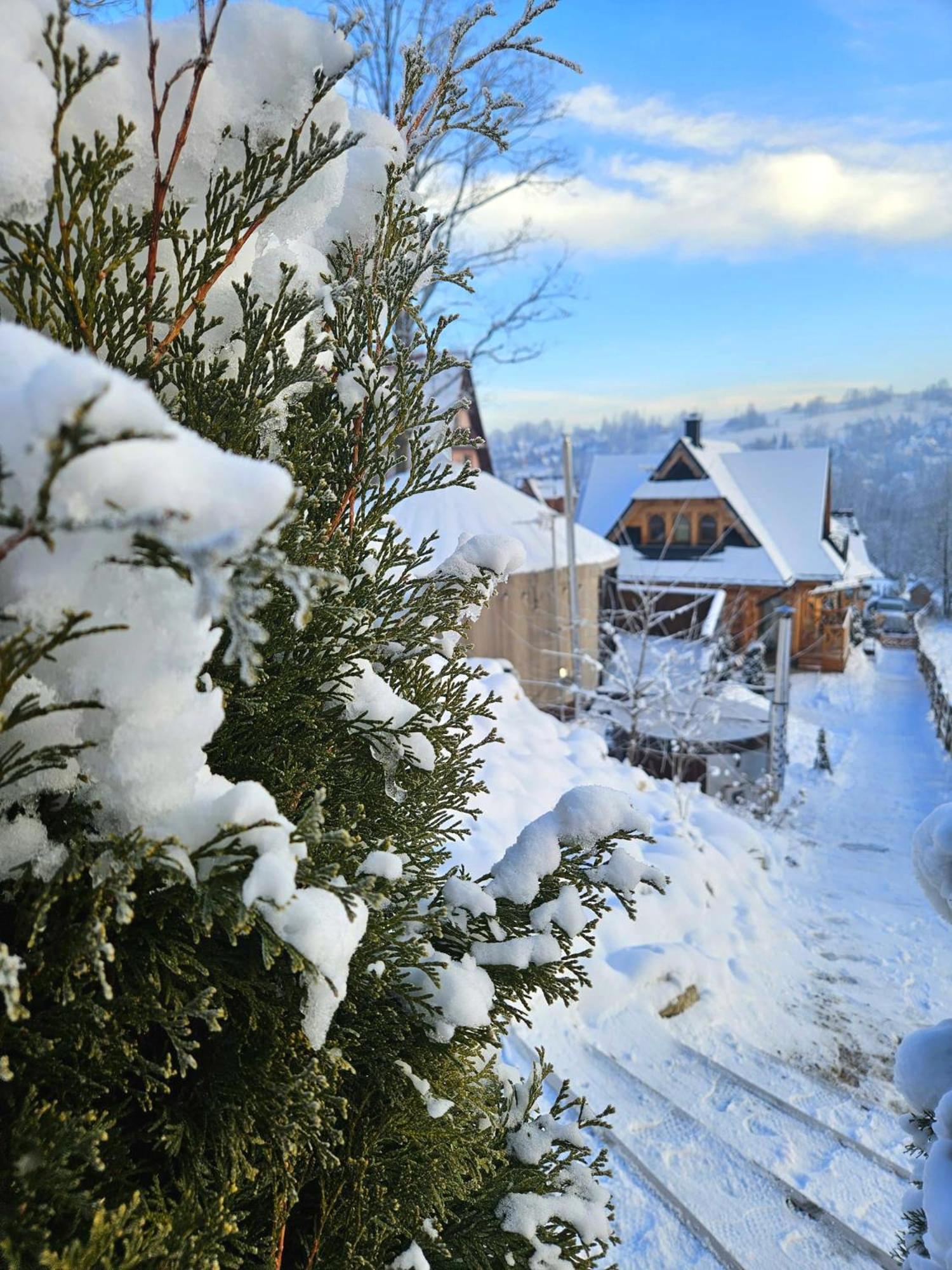 Goralska Chatka 2 Highland Cottage - Split Ac, Jacuzzi, Sauna, Private Parking, Mountains View, Garden, Zakopane Eksteriør bilde